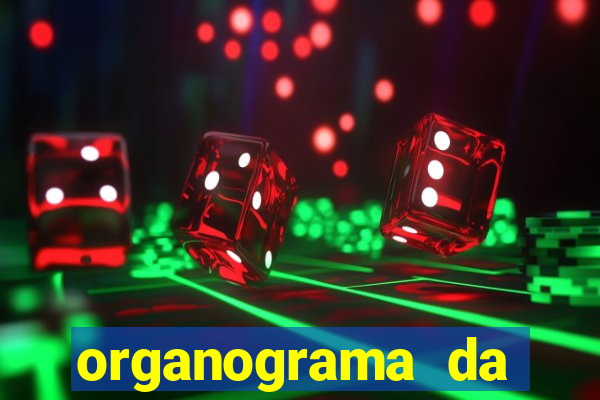 organograma da cacau show